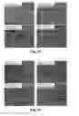 Fig. 22 - Nucleation efficiency of talc in the foaming behaviour and cellular structure of polymer-based foams