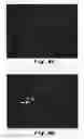 Fig. 08 - Flame-retardant and fire-resistant polymer compositions made from lime