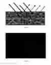 Fig. 02 - Coating composition with improved sense of sparkle and coating method using coating composition