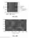 Fig. 37 - Method and apparatus for virus and vaccine production