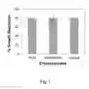 Fig. 02 - Methods for cryopreservation of stem cells via slow-freezing