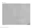 Fig. 22 - Cell line derived from thread-sail filefish ()