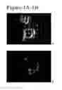Fig. 02 - Method of producing a differentiated mammalian cell comprising culturing a single mammalian blastomere