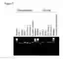 Fig. 06 - Method of producing a differentiated mammalian cell comprising culturing a single mammalian blastomere