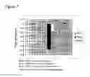Fig. 08 - Method of producing a differentiated mammalian cell comprising culturing a single mammalian blastomere