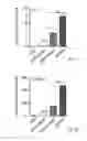 Fig. 10 - Generating hepatocytes