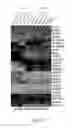 Fig. 37 - Generating hepatocytes