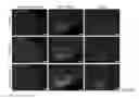 Fig. 43 - Generating hepatocytes