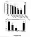 Fig. 06 - Immortalization of cells including neuronal cells