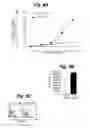 Fig. 09 - Methods of cell culture for adoptive cell therapy