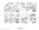 Fig. 09 - CELLS FOR THERAPY OF THE HEART, METHOD OF OBTAINING A CELL PREPARATION, AND CELL PREPARATION