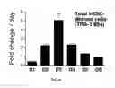 Fig. 10 - Method of making primate cells expressing apelin receptor that have mesangioblast potential