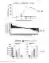 Fig. 12 - Method of making primate cells expressing apelin receptor that have mesangioblast potential