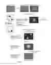 Fig. 19 - Method of making primate cells expressing apelin receptor that have mesangioblast potential