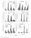 Fig. 08 - Three dimensional matrix for cancer stem cells