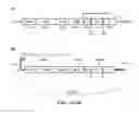 Fig. 02 - Alphavirus compositions and methods of use
