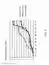 Fig. 06 - Composition for preventing or treating rheumatoid arthritis