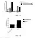 Fig. 02 - PTPRS AND PROTEOGLYCANS IN AUTOIMMUNE DISEASE
