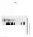 Fig. 07 - Selection in fungi