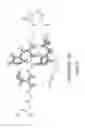 Fig. 04 - Synzymes