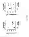 Fig. 19 - Method of cloning a lambda light chain variable domain using a human lambda light chain mouse