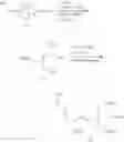 Fig. 157 - Compositions and methods for modulating HBV expression