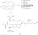 Fig. 162 - Compositions and methods for modulating HBV expression