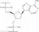 Fig. 178 - Compositions and methods for modulating HBV expression