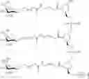 Fig. 240 - Compositions and methods for modulating HBV expression