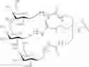 Fig. 99 - Compositions and methods for modulating HBV expression
