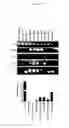 Fig. 07 - Methods of inducing insulin production
