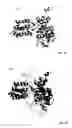 Fig. 03 - Protein with recombinase activity for site-specific DNA-recombination