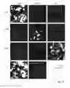 Fig. 09 - Protein with recombinase activity for site-specific DNA-recombination