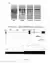 Fig. 26 - THERAPEUTIC USES OF GENOME EDITING WITH CRISPR/Cas SYSTEMS