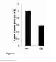 Fig. 06 - Method for modifying lignin biosynthesis in plants