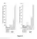 Fig. 07 - Over-expression of GCN2-Type Protein Kinase in Plants