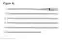 Fig. 17 - Over-expression of GCN2-Type Protein Kinase in Plants