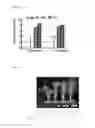 Fig. 22 - TRANSGENIC PLANTS EXPRESSING A pH-SENSITIVE NITRATE TRANSPORTER