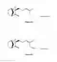 Fig. 06 - Method for producing beta-santalene