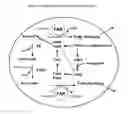 Fig. 02 - Production of fatty alcohols from engineered microorganisms