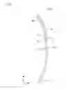 Fig. 06 - Inspection tool for nucleic acid chromatography
