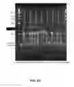 Fig. 09 - MICROARRAY SYSTEM WITH IMPROVED SEQUENCE SPECIFICITY
