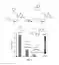 Fig. 07 - 3′-OH unblocked, fast photocleavable terminating nucleotides and methods for nucleic acid sequencing