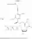 Fig. 46 - 3′-OH unblocked, fast photocleavable terminating nucleotides and methods for nucleic acid sequencing
