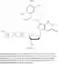Fig. 83 - 3′-OH unblocked, fast photocleavable terminating nucleotides and methods for nucleic acid sequencing