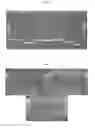 Fig. 02 - CANDIDA ALBICANS OLIGONUCLEOTIDES, DETECTION METHOD, AND KIT THEREOF