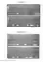 Fig. 07 - CANDIDA ALBICANS OLIGONUCLEOTIDES, DETECTION METHOD, AND KIT THEREOF