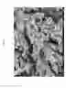 Fig. 22 - METHODS FOR PREPARING SUBSTRATE CORED-METAL LAYER SHELLED METAL ALLOYS