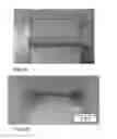 Fig. 03 - METHOD FOR FORMING A BODY COMPRISING A PARTICLE STRUCTURE FIXATED IN A MATRIX MATERIAL