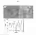 Fig. 02 - Process for preparing an epitaxial alpha-quartz layer on a solid support, material obtained and uses thereof